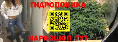 индика Краснодар