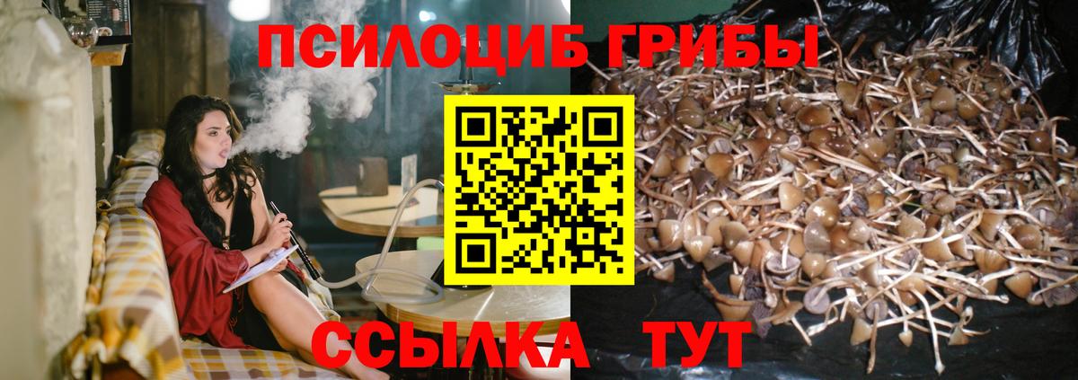 Галлюциногенные грибы прущие грибы  Вход с VPN  Галлюциногенные грибы MAGIC MUSHROOMS  Каспийск 